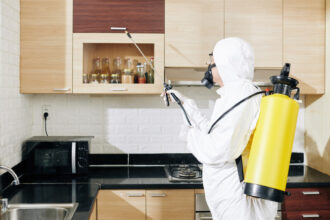 Pourquoi choisir des services de dératisation professionnels ?