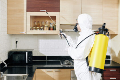 Pourquoi choisir des services de dératisation professionnels ?